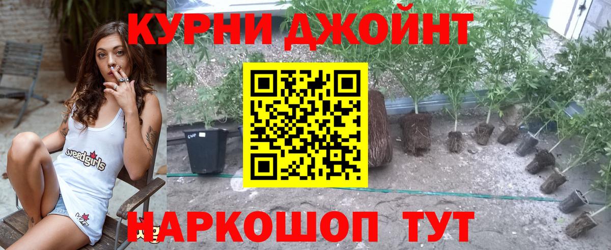 Ишимбай  Бошки Шишки тримм  Канабис семена  Вход с VPN 